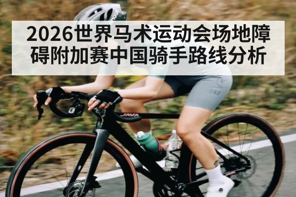2026世界马术运动会场地障碍附加赛中国骑手路线分析