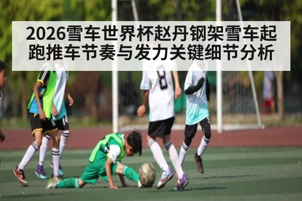 2026雪车世界杯赵丹钢架雪车起跑推车节奏与发力关键细节分析